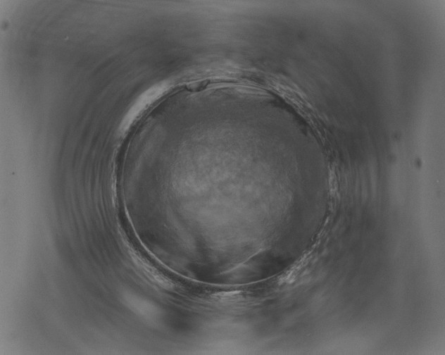 X0000074210054200609081541