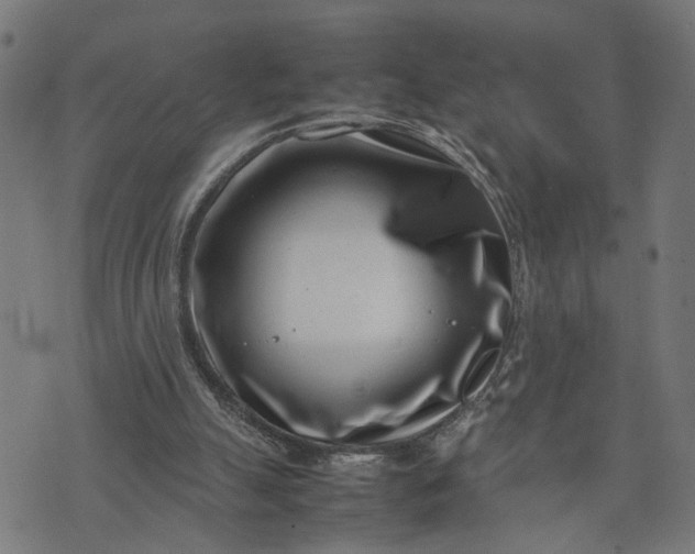 X0000074210055200609081541