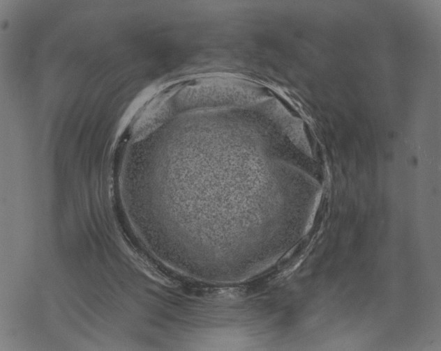 X0000074210056200609081541