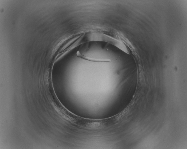 X0000074210058200609081541