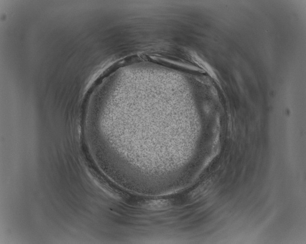 X0000074210059200609081541