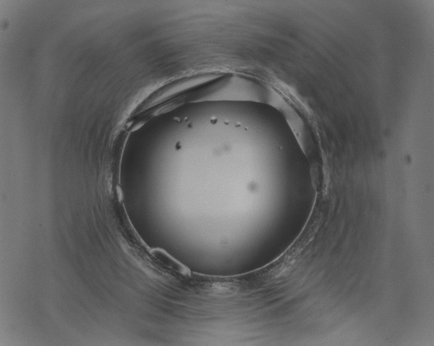 X0000074210060200609081541