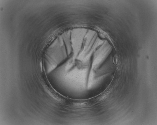 X0000074210061200609081541