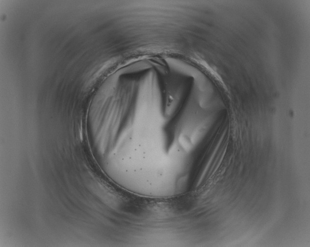 X0000074210062200609081541