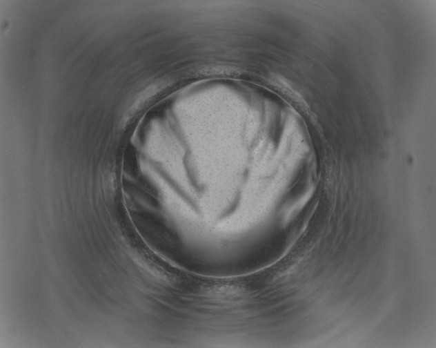 X0000074210063200609081541