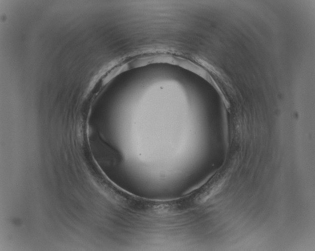 X0000074210064200609081541