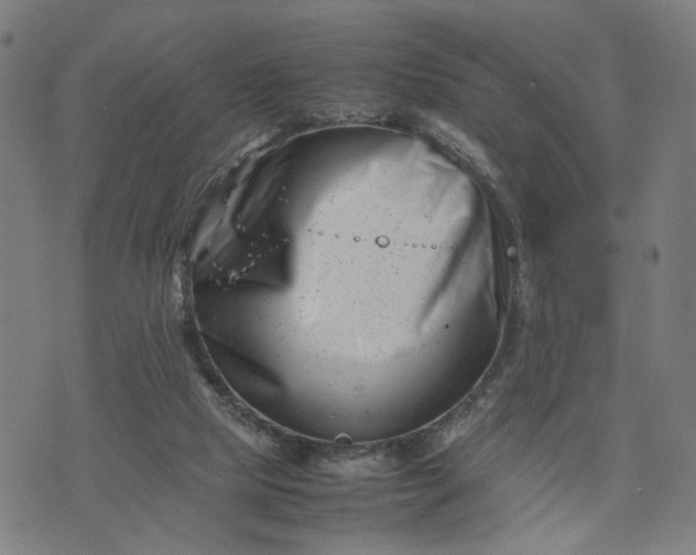 X0000074210065200609081541