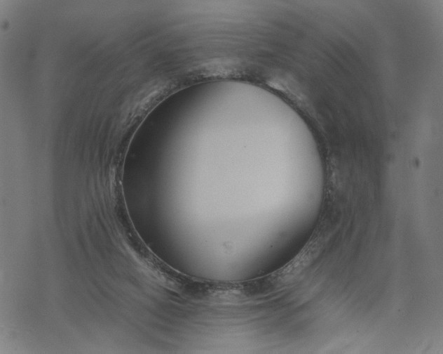 X0000074210066200609081541