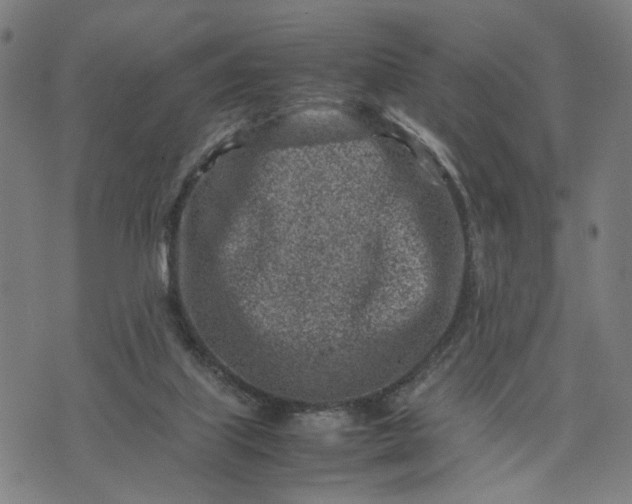 X0000074210067200609081541