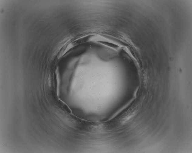 X0000074210068200609081541