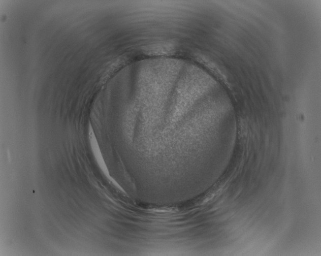 X0000074210069200609081541