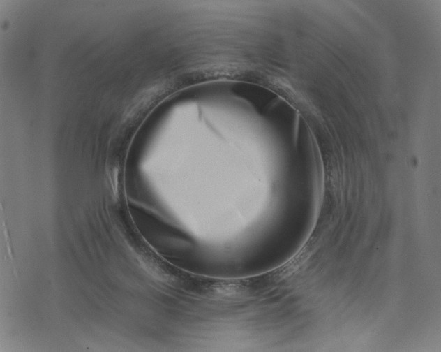 X0000074210070200609081541