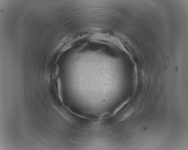 X0000074210072200609081541