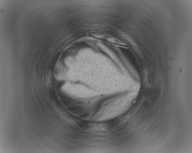 X0000074210073200609081541