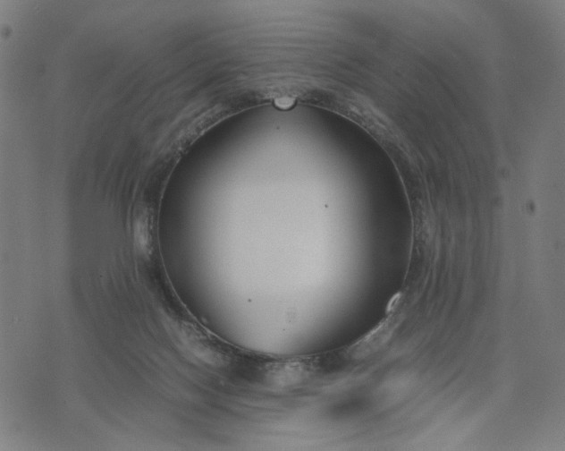 X0000074210074200609081541