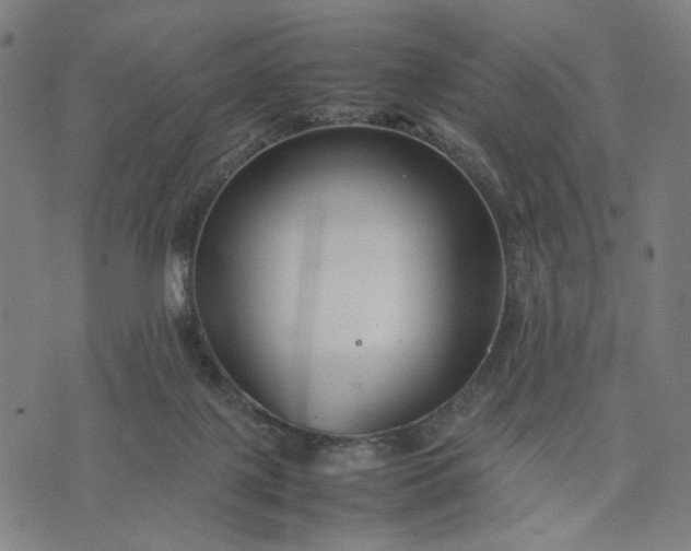 X0000074210075200609081541