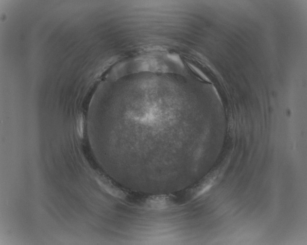 X0000074210076200609081541