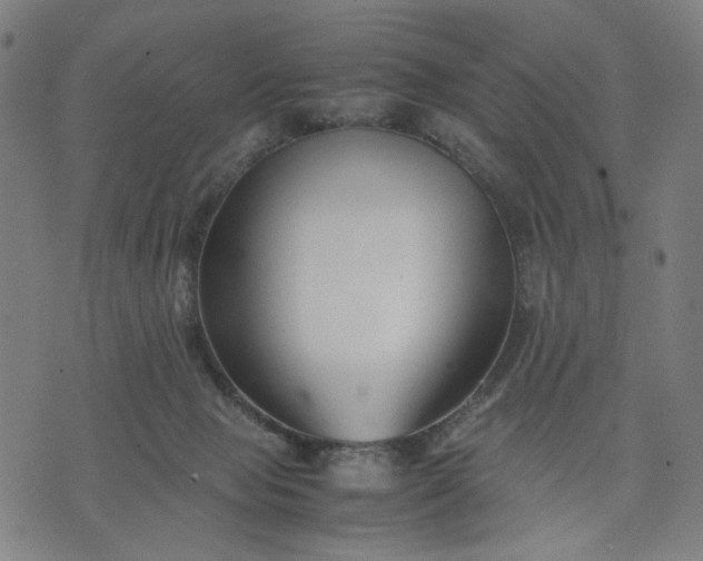 X0000074210077200609081541