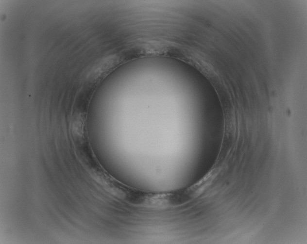 X0000074210078200609081541