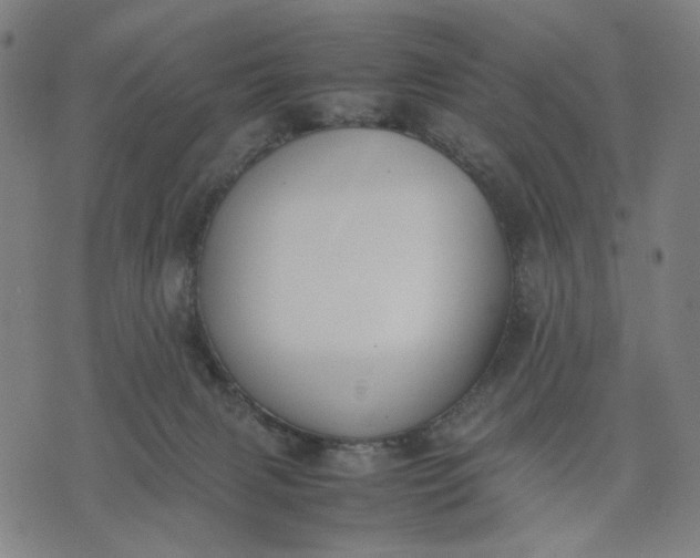 X0000074210079200609081541