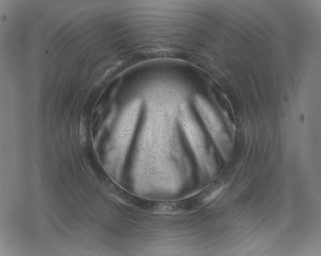 X0000074210080200609081541