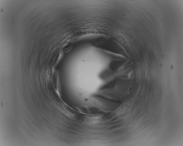 X0000074210081200609081541