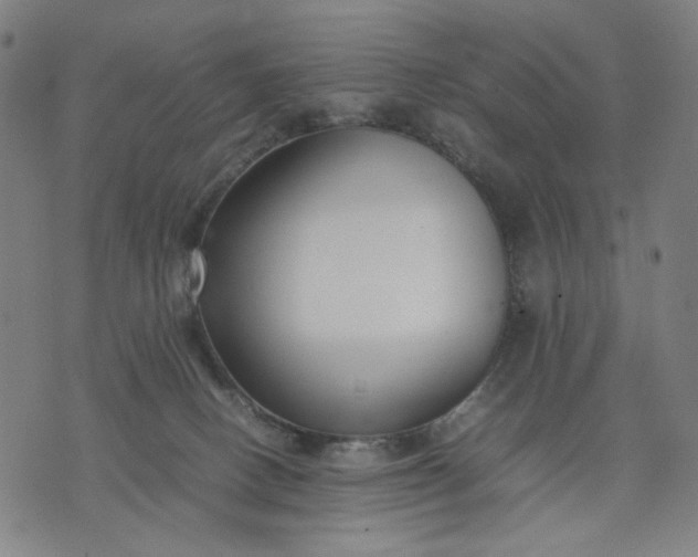 X0000074210082200609081541