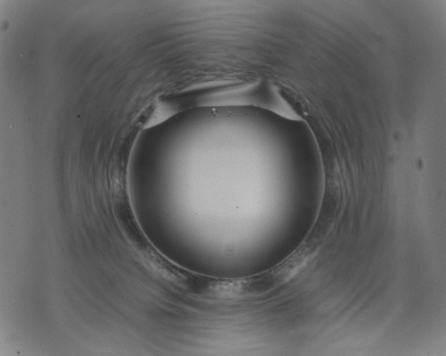 X0000074210084200609081541