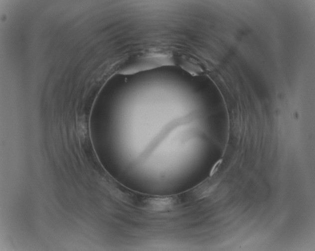 X0000074210085200609081541