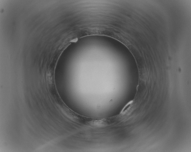 X0000074210086200609081541