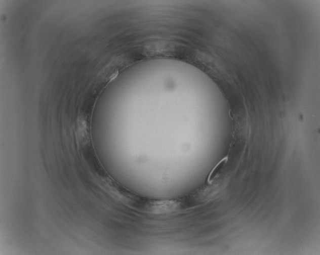 X0000074210087200609081542