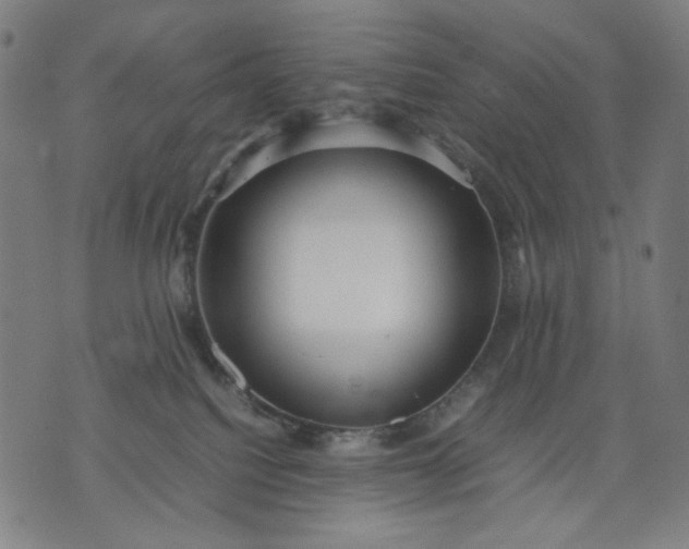 X0000074210088200609081542