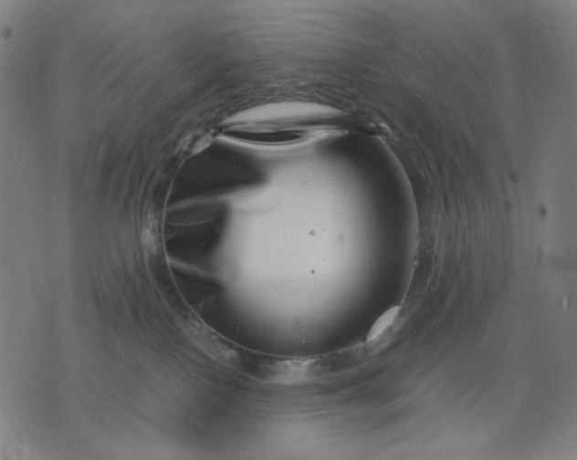 X0000074210090200609081542