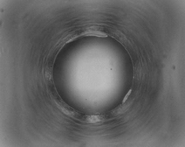 X0000074210091200609081542