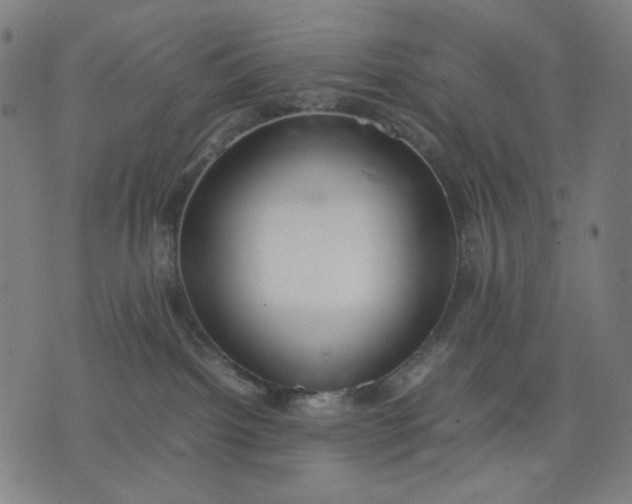 X0000074210092200609081542