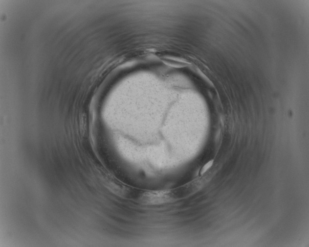 X0000074210093200609081542