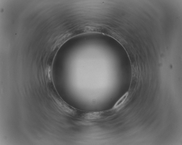 X0000074210094200609081542