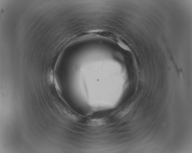 X0000074210095200609081542