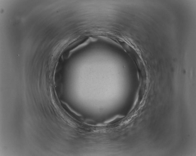 X0000074210097200609081541