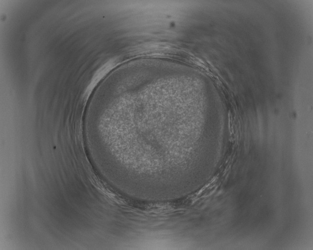 X0000074210099200609081541