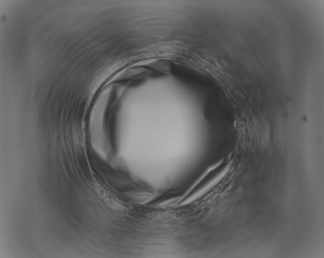 X0000074210100200609081541