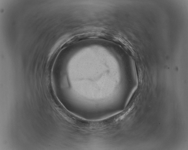 X0000074210101200609081541