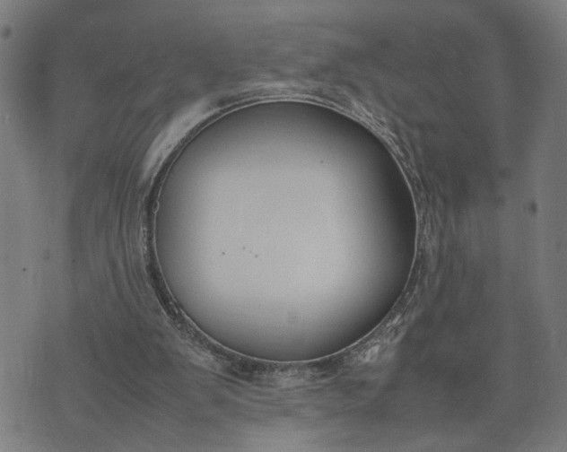 X0000074210103200609081541