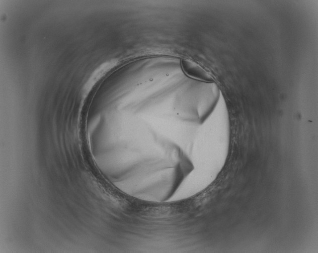 X0000074210104200609081541