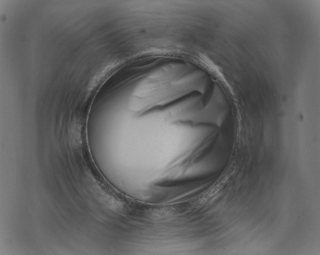 X0000074210106200609081541