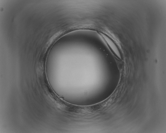 X0000074210107200609081541