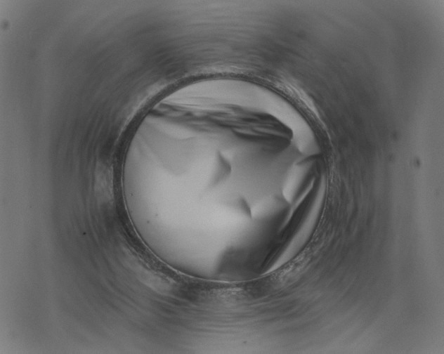 X0000074210108200609081541