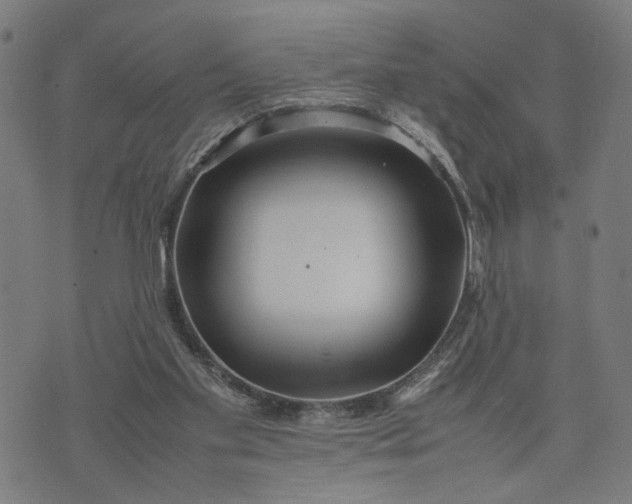 X0000074210109200609081541