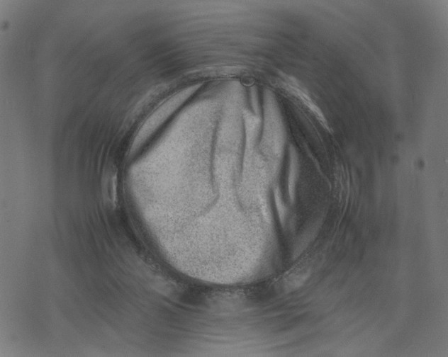 X0000074210110200609081541