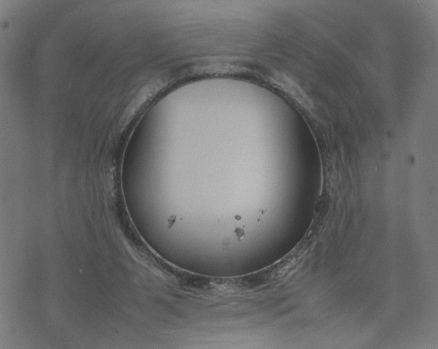 X0000074210111200609081541